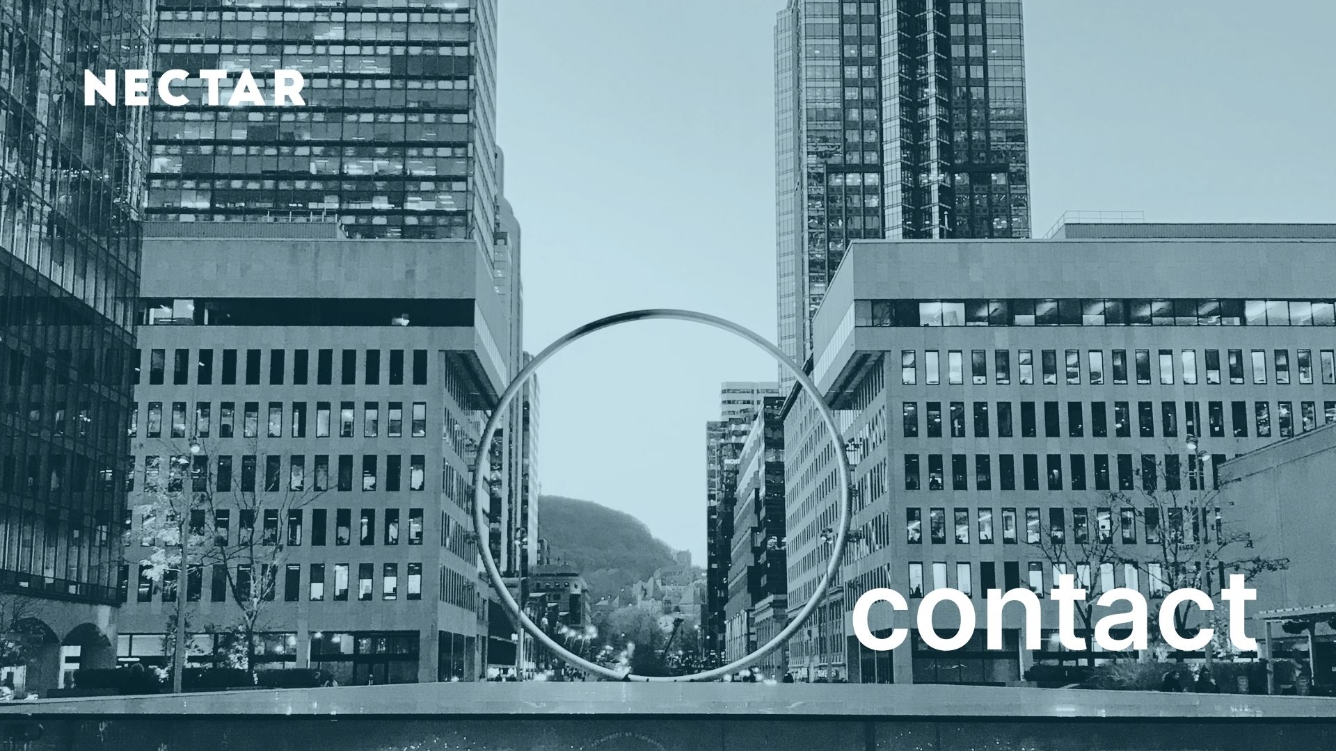 Nectar | Get in Touch for Creative Solutions